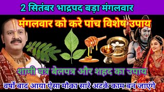 2सितम्बर भाद्रपद बड़ा मंगलवार दशमी। बेलपत्र शमी पत्र और शहद का विशेष उपाय। #मंगलवार​ #pradeepmishra​