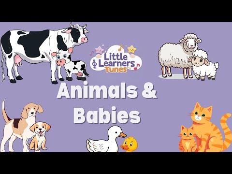 Animals and Their Babies | Speech Development and Animal Recognition for Baby &Toddler
