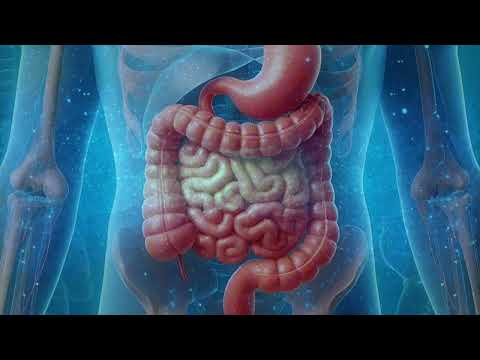 Abdominal Inflammation Relief - 1.2 Hz Rife Frequency | Isochronic Binaural Beats Healing Sounds