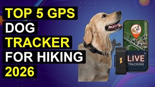Top 5 Gps Dog Tracker For Hiking 2026 | Adventure Dog Gps Tracker For Hiking
