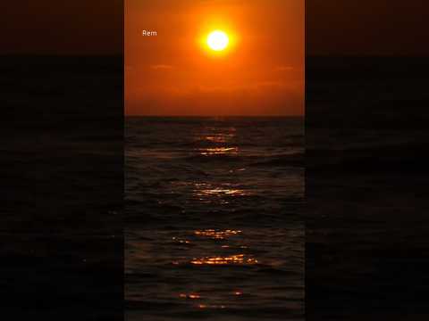 loyalty / english best motivational quotes #viral #shorts #loyalty #status