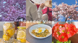 Spring Vlog 🌸 | Daily Routine | Cooking | Cherishing Spring Moments