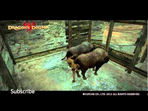 Dragons Dogma OST(21) Introduction to the ways of Combat Theme