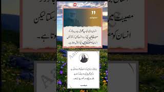 Bano Qudsia , Ashfaq Ahmad quotes in Urdu