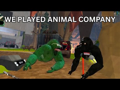 Me and my friend played animal company and visiting tons of maps