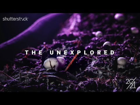 Trend To Watch: The Unexplored - 2021 Creative Trends | Shutterstock