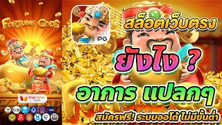 สล็อต วอเลท สล็อต true wallet เว็บตรง true wallet Fortune Gods