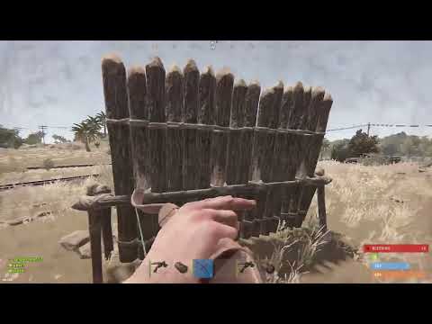 short rust vid