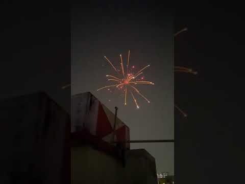Sony Fireworks Bad Boys | Skyshot | Large Skyshot| Diwali | Fireworks | Testing