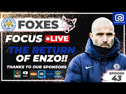 THE RETURN OF ENZO!!