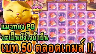 สล็อตแมว ; Lucky neko สล็อตpg จะเป็นยังไงถ้ายืน เบท50 ตลอดเกมส์ !!