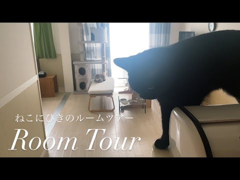 【ルームツアー】ねこ2匹と暮らす主の家