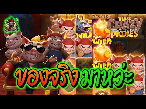 สล็อตPG ➤ Three Crazy Piggies ➤  ของจริง มาหว่ะ