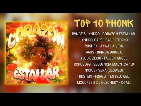 Top 10 Viral Brazilian Phonk Songs of 2025 | Premium Aura Music | $Million Dollar Phonk Playlist