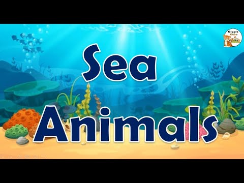 Sea Animals for Children | Aquatic animals | Under water life by Giggle cubs