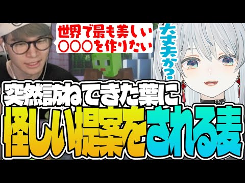 【VCRマイクラβ/#2】葉さんに怪しい提案をされて疑心暗鬼になっちゃう麦かもです！- Minecraft【猫麦とろろ切り抜き動画/絲依とい/Clutch_Fi/秋雪こはく/紡木こかげ/へしこ/葉】