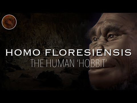Homo Floresiensis: The Real Life 'Hobbit' | Prehistoric Humans Documentary