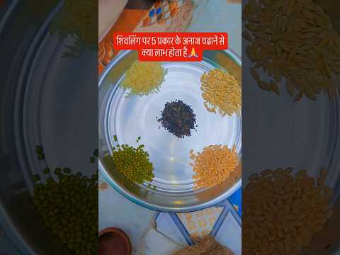 शिवलिंग पर 5 प्रकार के अनाज चढाने से क्या लाभ होता है 🙏🙏#upay #शिव #motivation #love #kedarnath