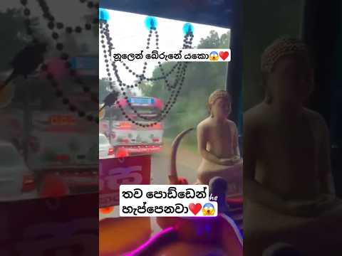 හැප්පුනාද?😱 #busworld #automobile #newbusvideo #vahicles #slvehicles #trending #dhamrejini #driver