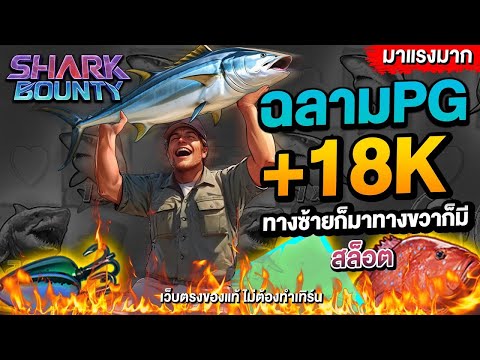 เว็บสล็อตแตกดีๆ เว็บตรงสล็อต เว็บสล็อตวอเลท