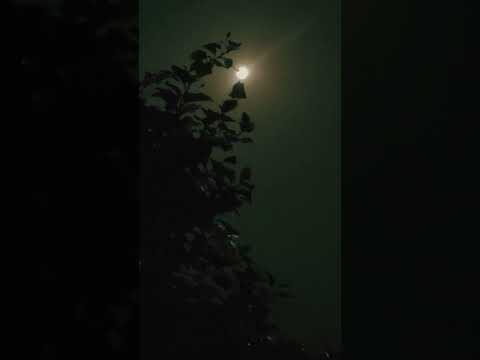 Super moon view #support  #short  #viral#trending #youtubeshorts#nature