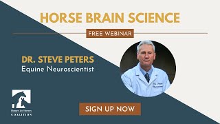 Horse Brain Science with Dr. Peters