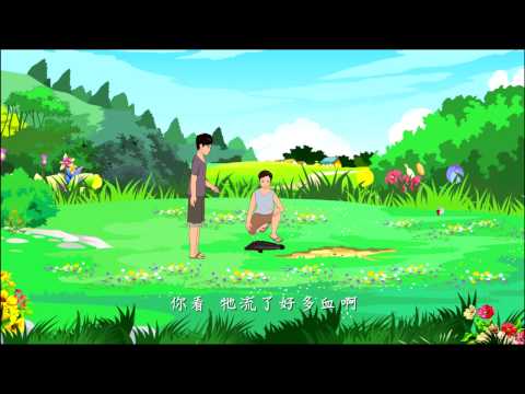 《爱护生命的故事》黑鱼的母爱 (高清版)