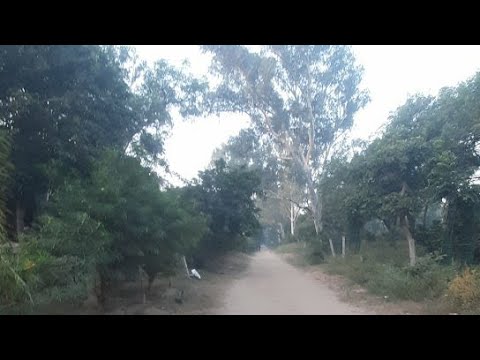 Radharani ki apar kripa se 🦚 is live.         Goverdhan ji  darshan