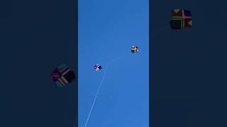 kite flying shorts #kite #kiteflying #shorts