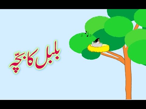 Bulbul ka Bacha (Urdu Poem) | (بلبل کا بچّہ (اردو نظم