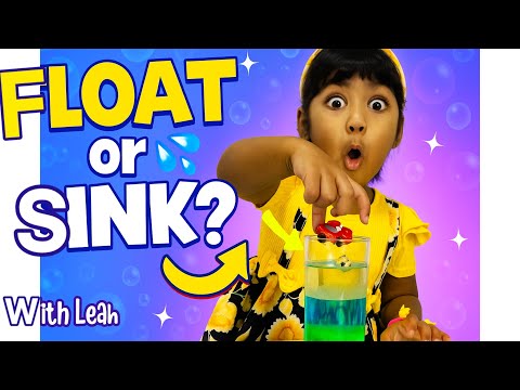 Floating or Sinking? Cool Kids Science with Leah! 🧪🌈