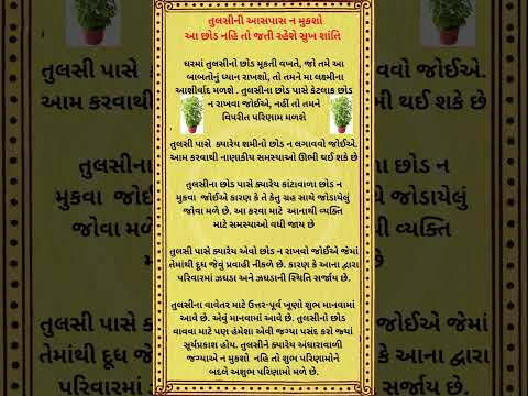 તુલસીની આસપાસ ન મુકશો આ છોડ