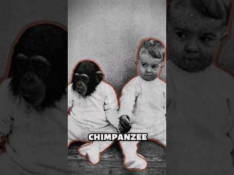 The Terrifying Experiment in History: Kellogg's Experiment 😱🐒