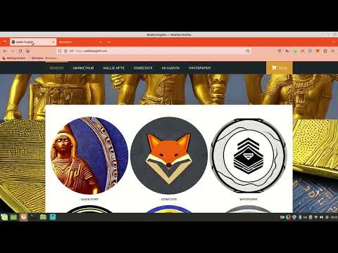 ¿Cómo agregar la red Polygon a tu billetera Metamask fácil?