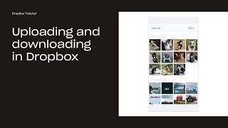 How to upload and download in Dropbox | Dropbox Tutorials | Dropbox
