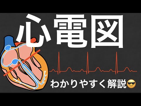 心電図についてわかりやすく解説😎
