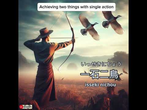一石二鳥・いっせきにちょう・isseki nichou #japanese #idioms #learnjapanese#N1#N2#N3#N4#N5