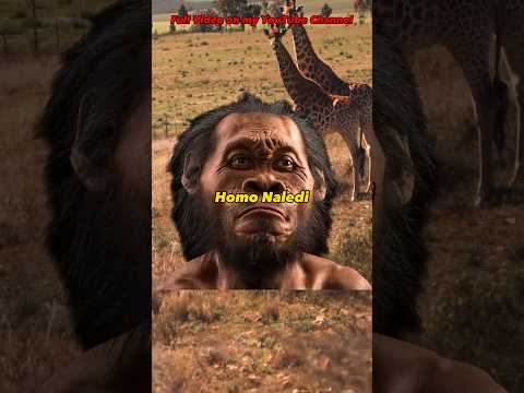 Homo Naledi - Amazing New Discoveries of This Ancient Hominin - #evolution #history #humanevolution