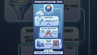 Information Processing Theory Explained
