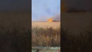 #painting #art #howtopaint #learntopaint