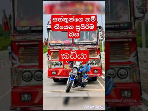 සත්තුන්ගෙ නම් තියෙන බස් සෙට්එක.