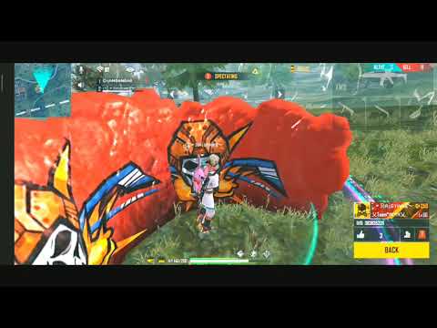 Raister in our mach