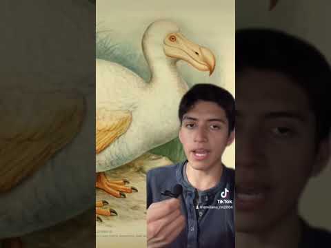 #fyp #shorts #animals #prehistoric