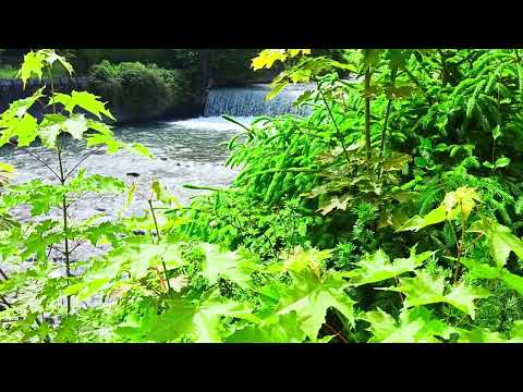 meditate and relax