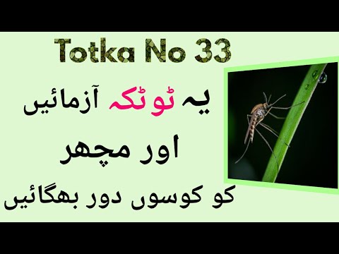 Totka No 33-Machar Bhagane Ka Best Totka-How To Get Rid Of Mosquitoes