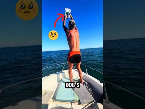 This guy brought his dog for a swim one last time🥺 #gamtng