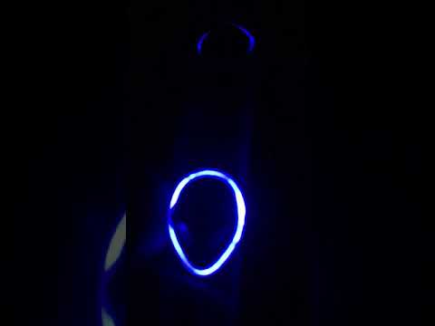 REEL 19