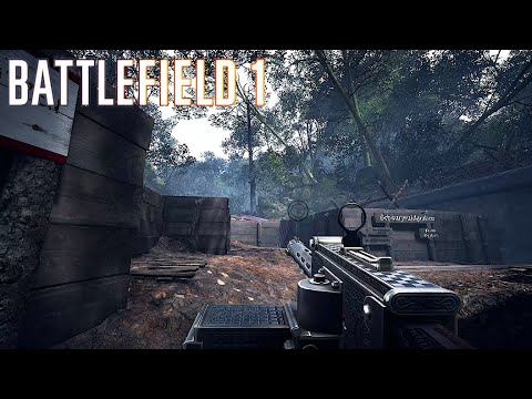 160 KILLS on Argonne Forrest! - Battlefield 1 Full Gameplay (no commentary)