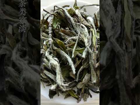 找茶 / 白茶滋味為什麼這麼淡