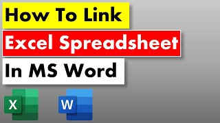 How To Link Excel Spreadsheet in Word - Step by Step